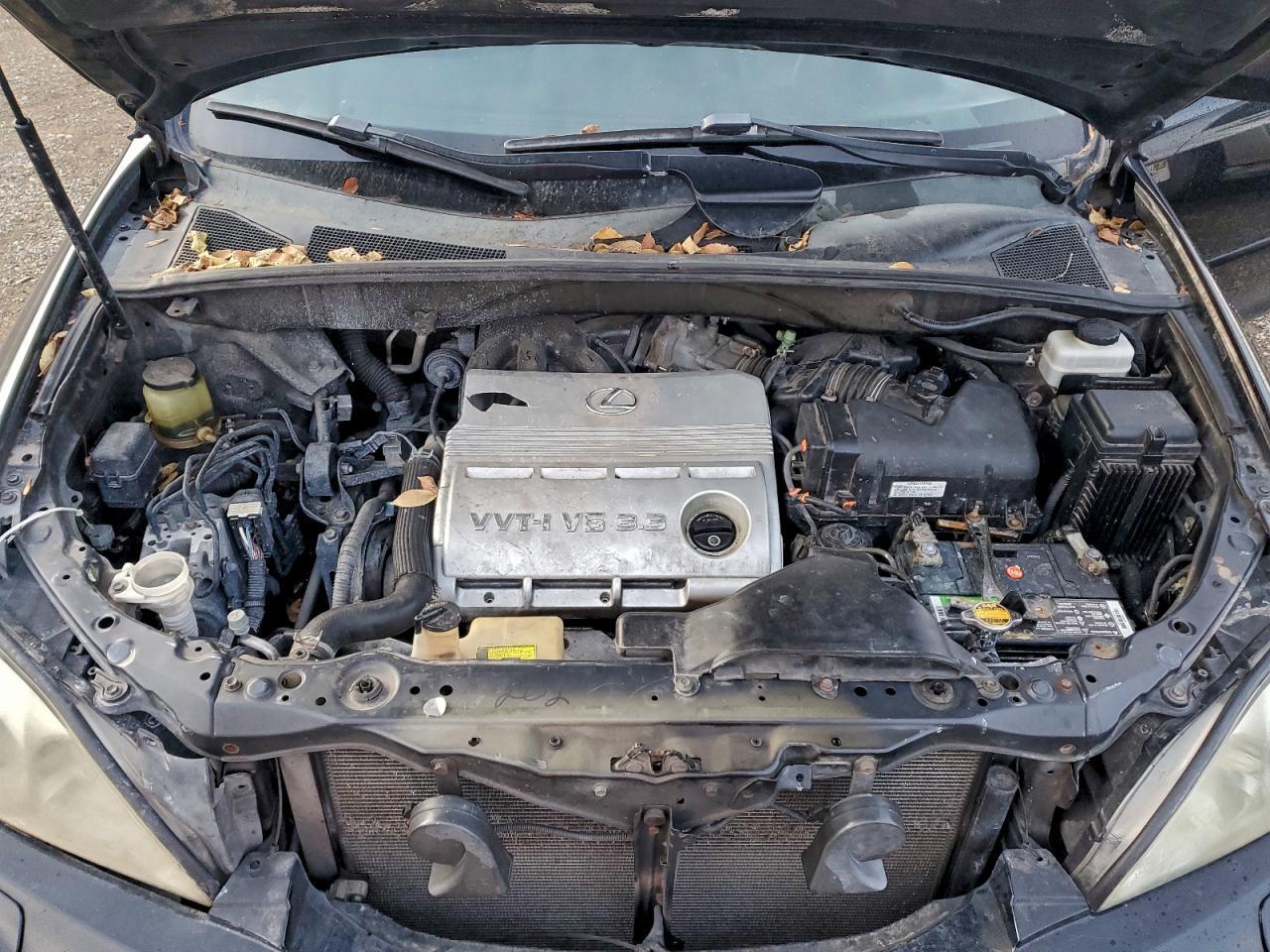 2006 LEXUS Rx 330