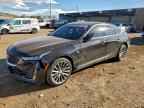 2024 CADILLAC CT5