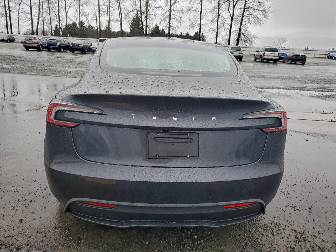 2025 TESLA MODEL 3