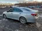2012 LEXUS ES 350