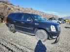 2008 CADILLAC ESCALADE