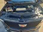 2022 CADILLAC ESCALADE