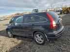 2010 HONDA CR-V