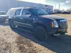 2007 CADILLAC Escalade ESV