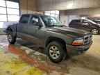 2004 DODGE Dakota