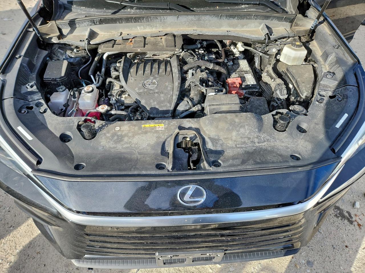 2024 LEXUS TX 350