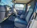 1999 JEEP WRANGLER