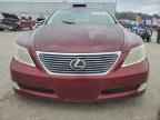 2007 LEXUS LS 460
