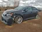 2010 LEXUS HS 250h