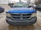 2008 DODGE Dakota