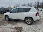 2014 JEEP Compass