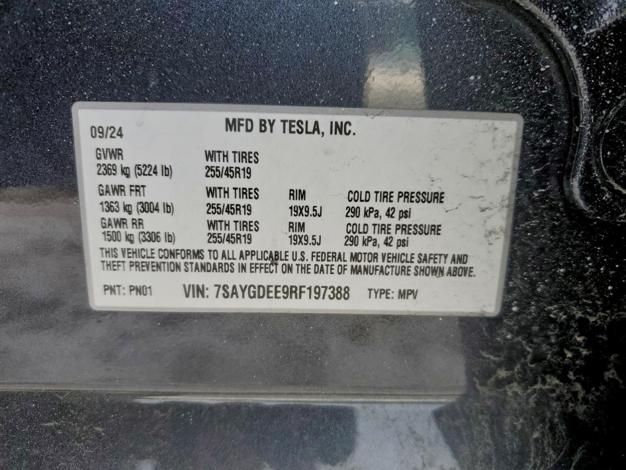 2024 TESLA MODEL Y