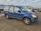 2004 HONDA CR-V