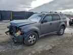 2009 FORD ESCAPE