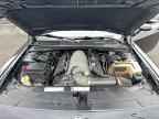 2010 DODGE Challenger