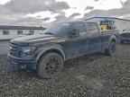 2009 FORD F-150