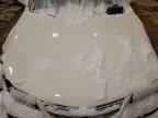 2005 CHEVROLET IMPALA