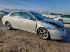 2005 TOYOTA Avalon