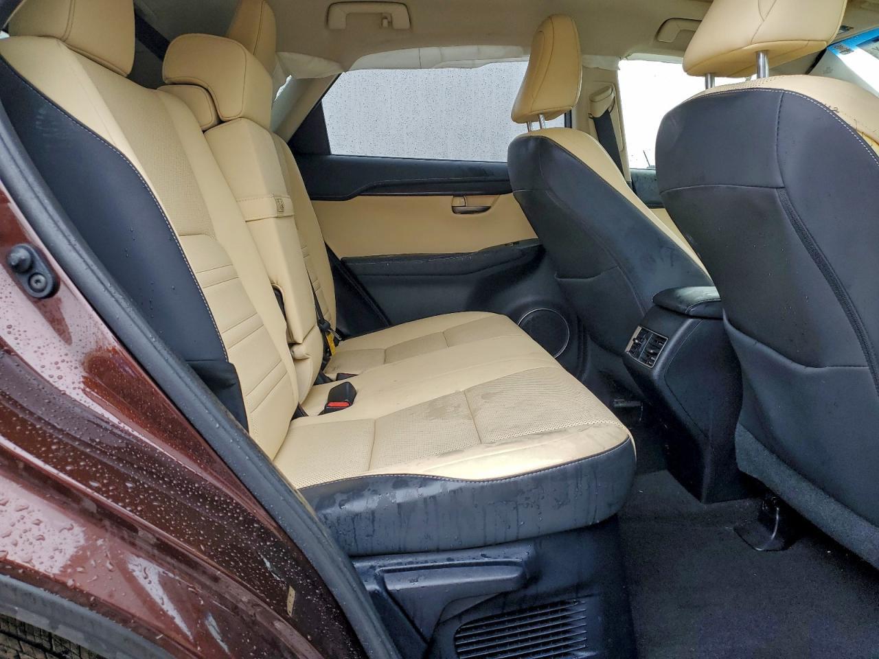 2019 LEXUS NX 300