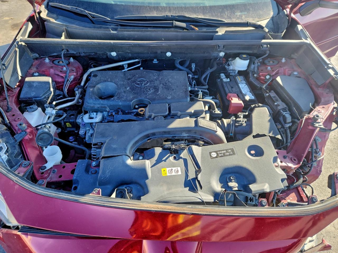 2019 TOYOTA RAV4