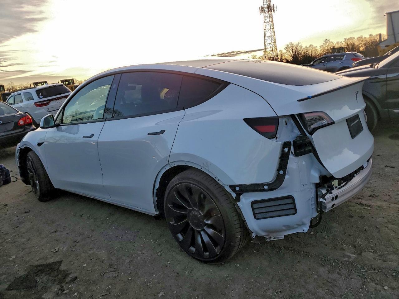 2023 TESLA MODEL Y