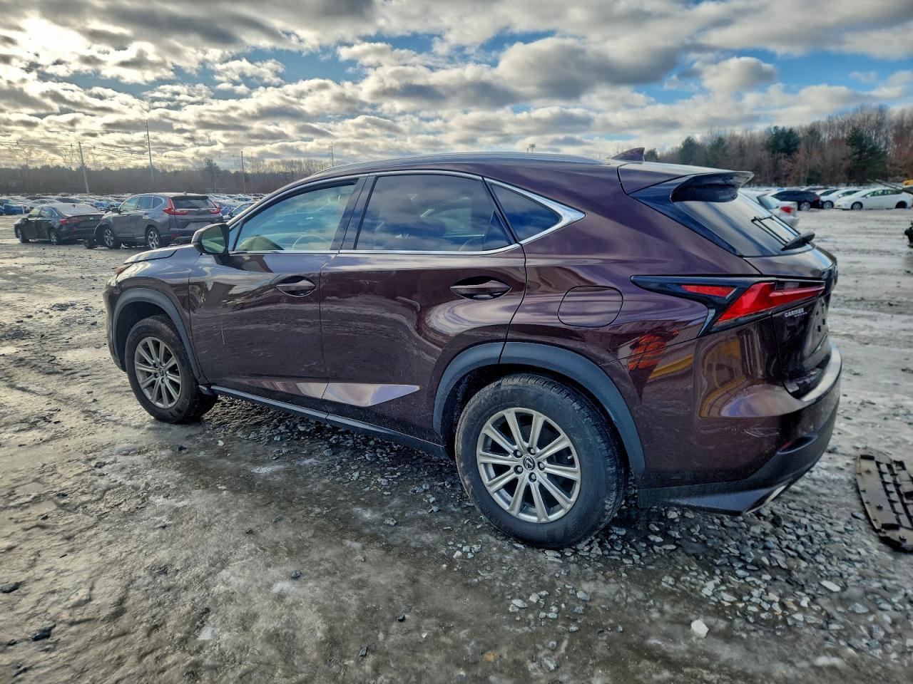 2019 LEXUS NX 300