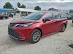 2024 TOYOTA SIENNA