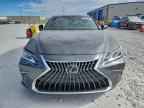 2023 LEXUS ES 350