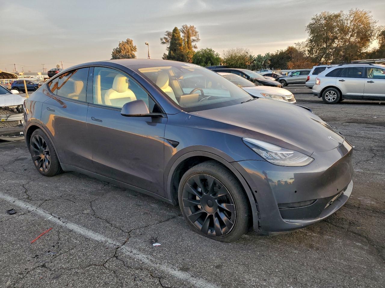 2021 TESLA MODEL Y