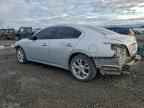2013 NISSAN Maxima