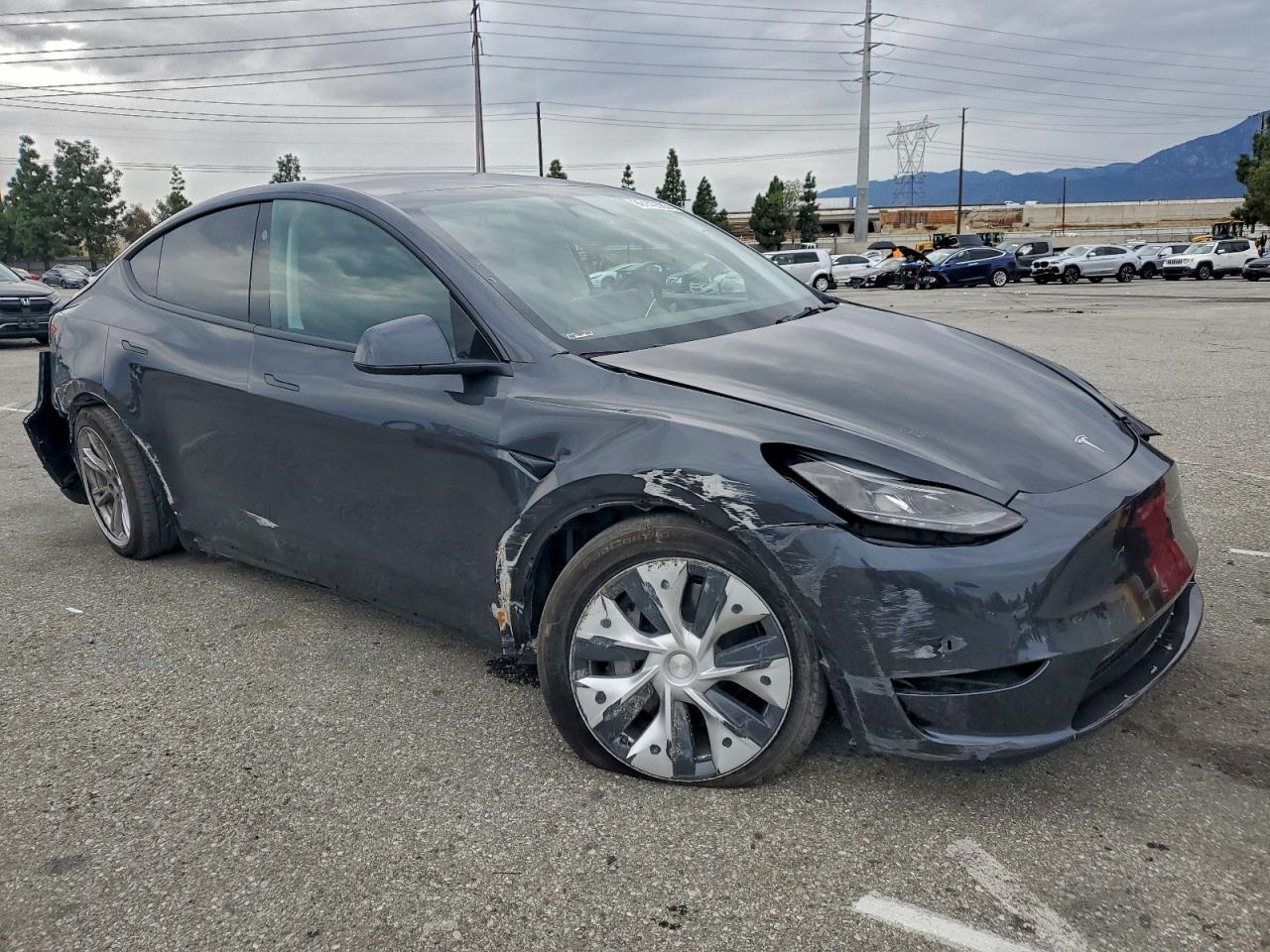 2024 TESLA MODEL Y