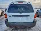 2005 FORD ESCAPE
