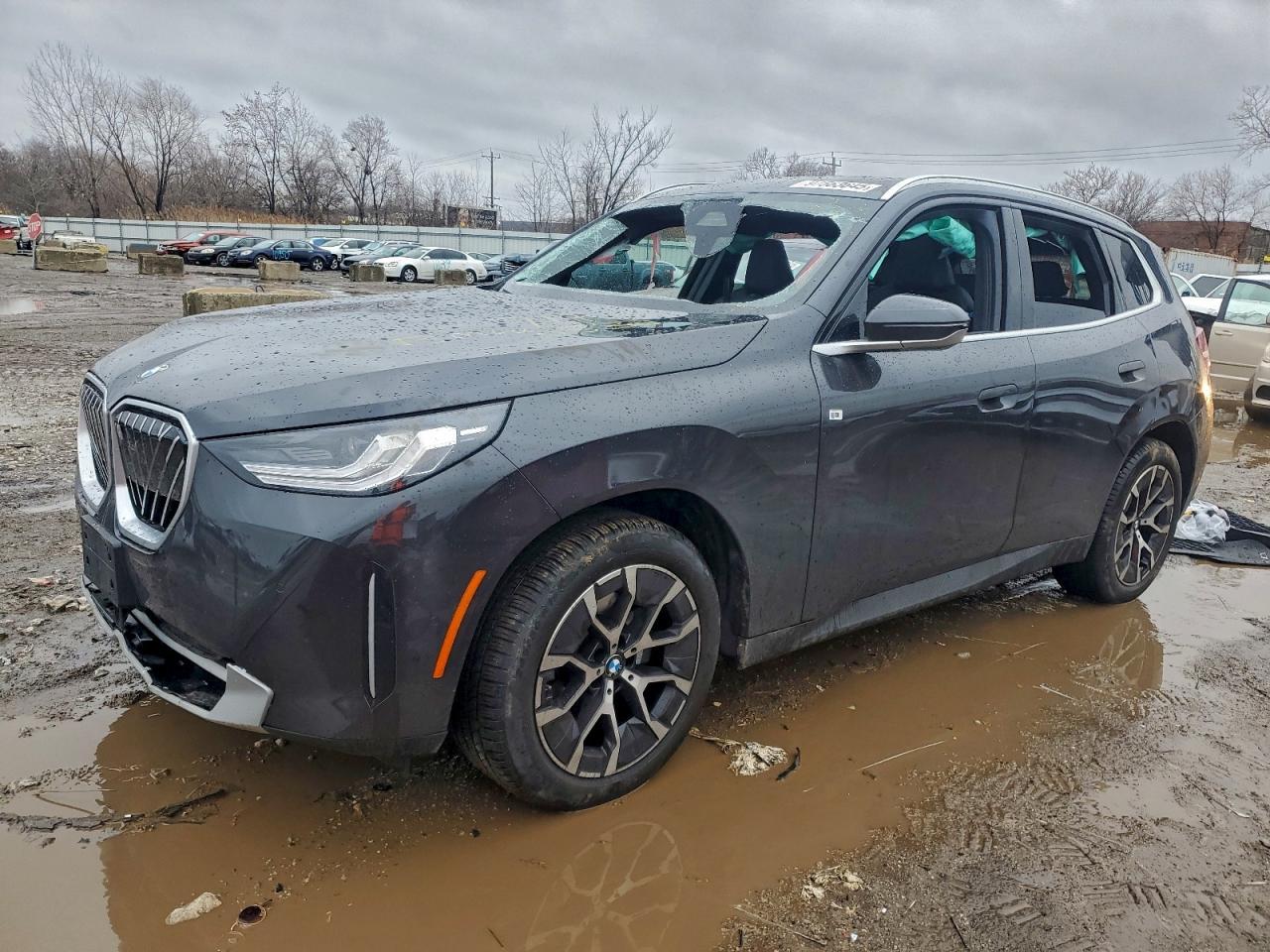 2025 BMW X3