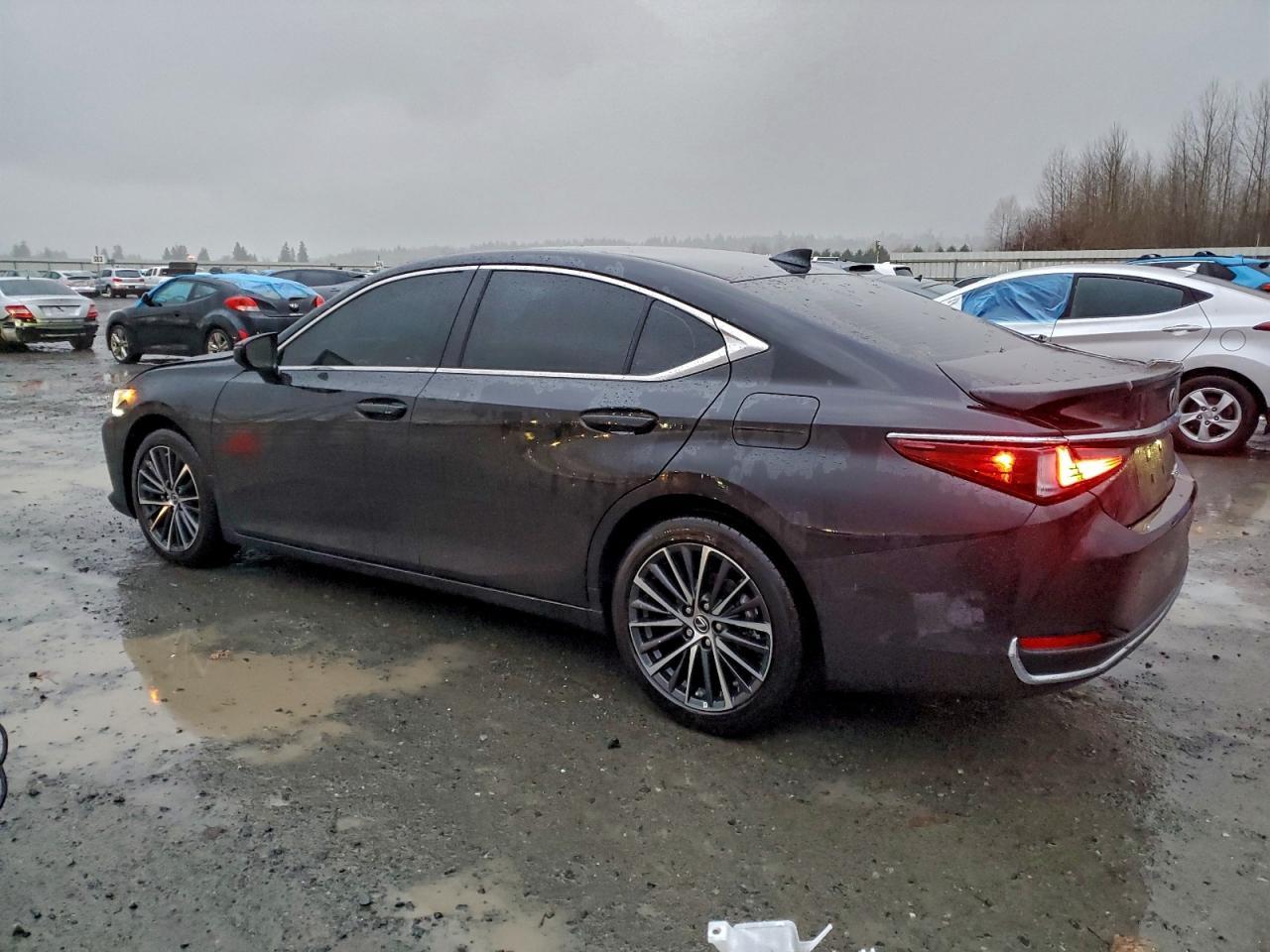 2025 LEXUS ES 300H
