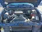 2005 DODGE Dakota