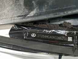2024 LEXUS RX 350