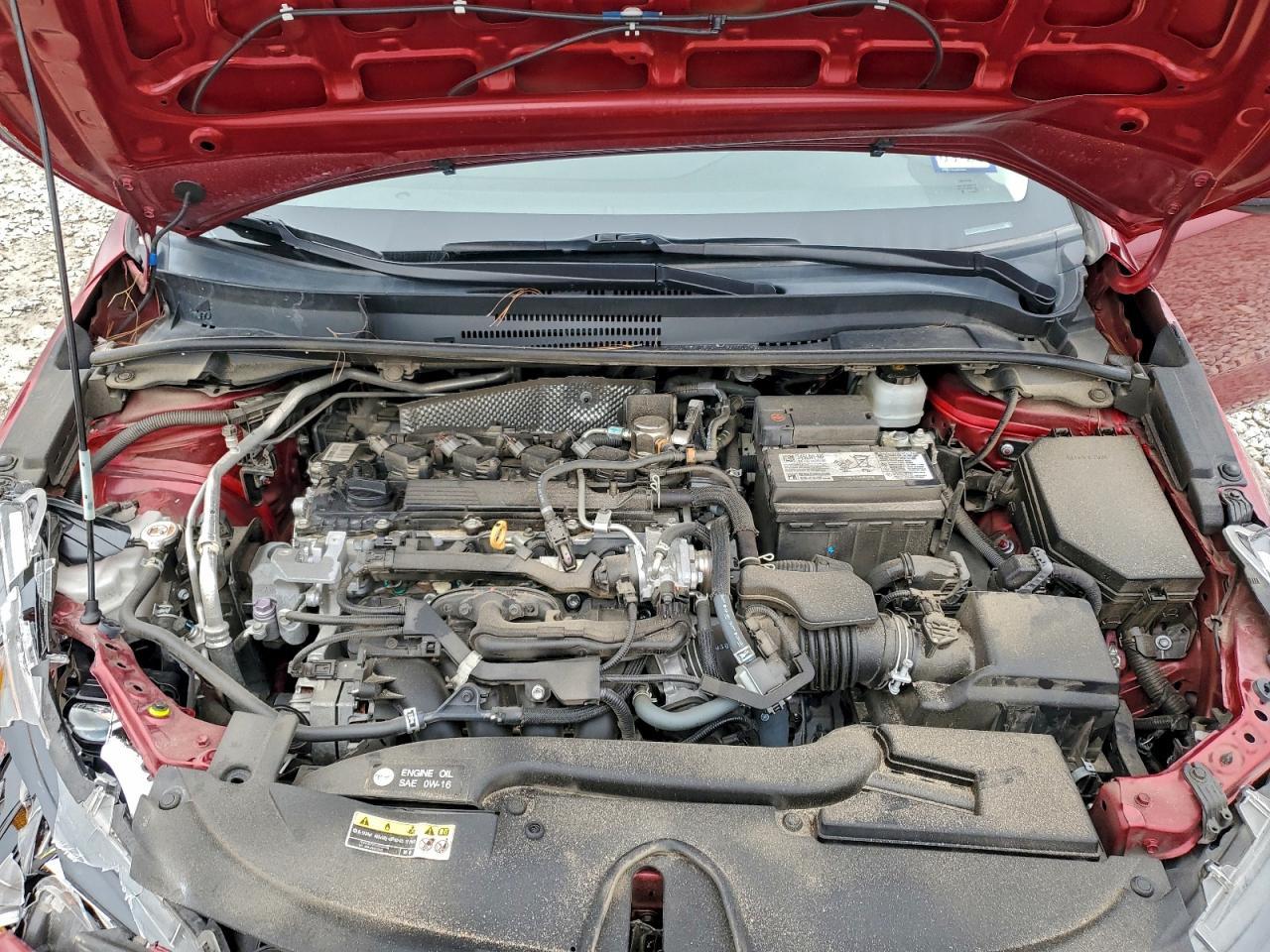 2023 TOYOTA COROLLA