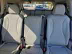 2026 KIA Carnival