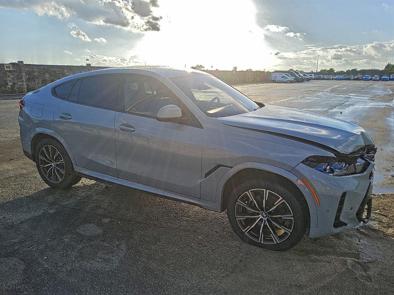 2026 BMW X6