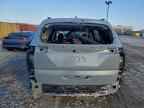 2024 KIA Carnival