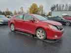 2010 LEXUS HS 250h