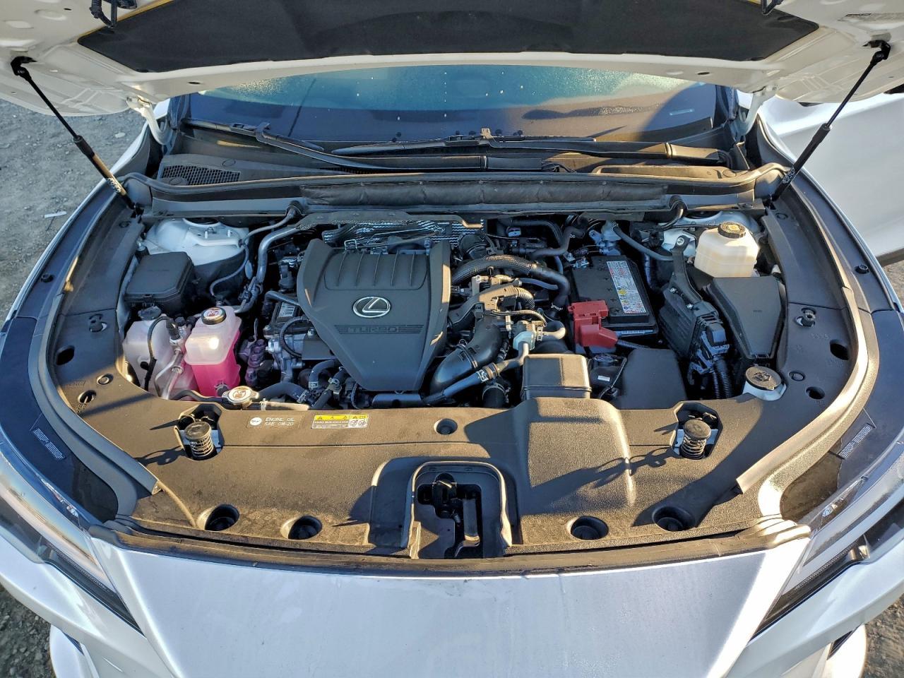 2024 LEXUS RX 350