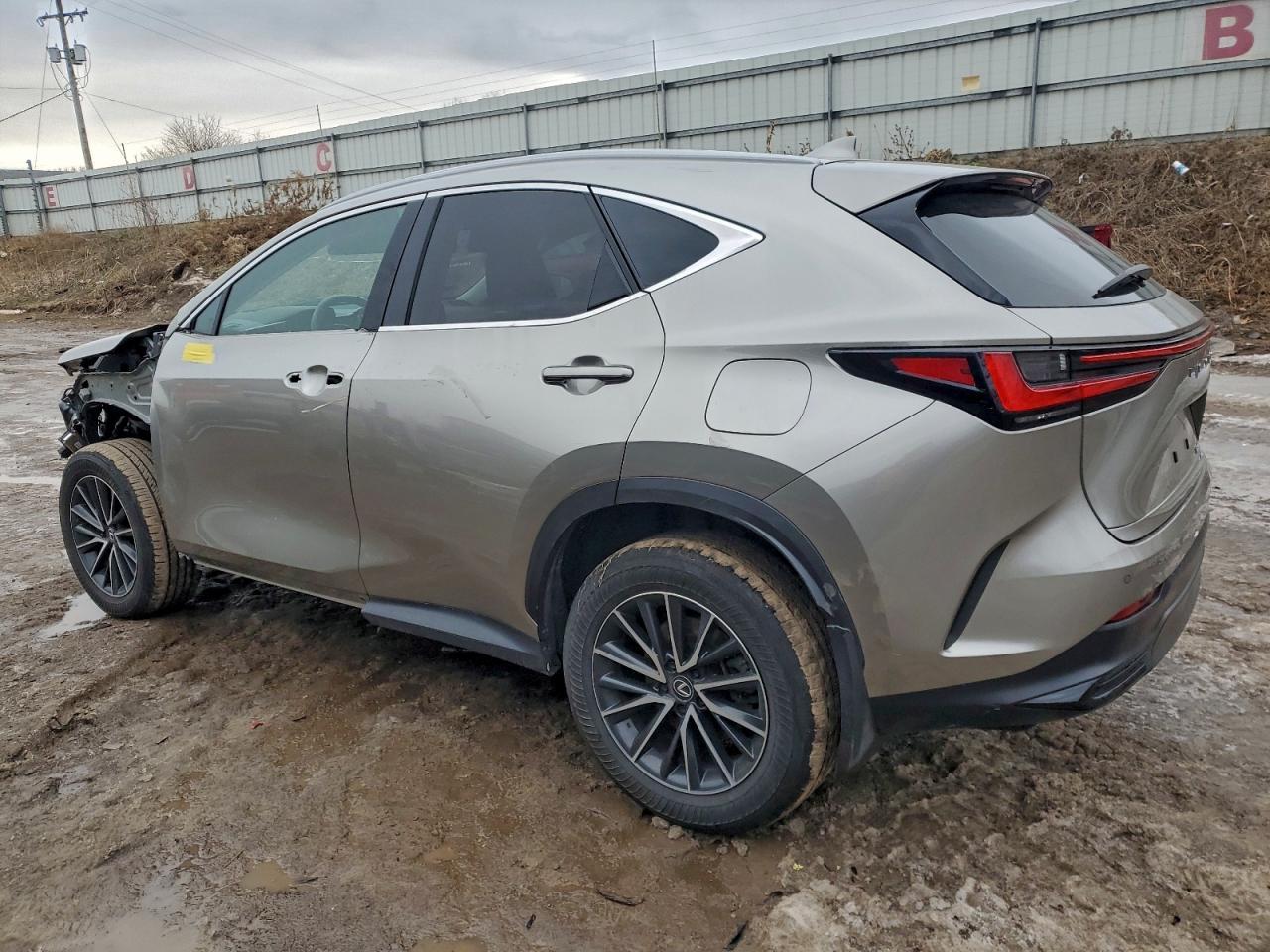 2024 LEXUS NX 350