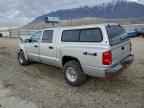 2006 DODGE Dakota