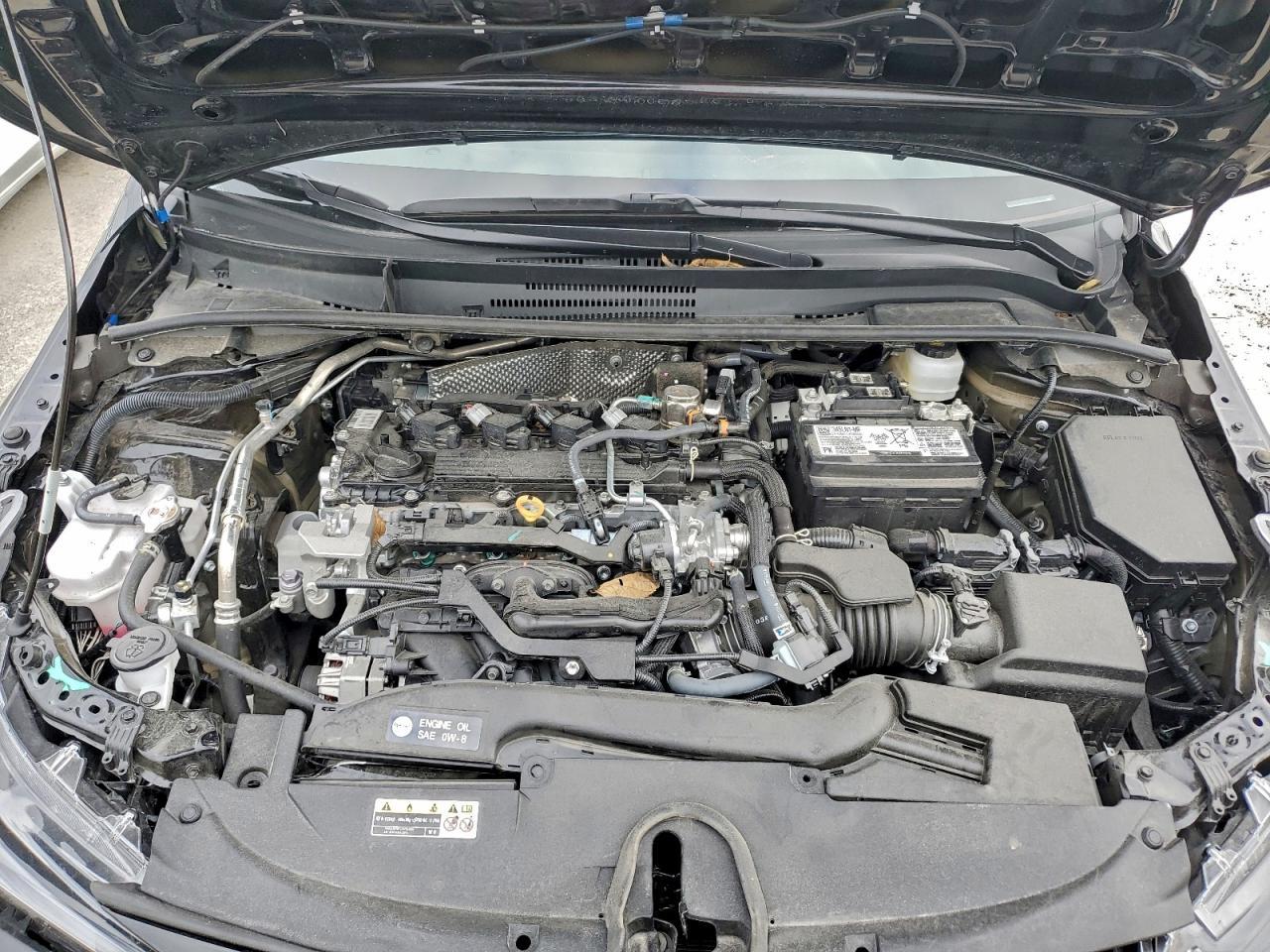 2025 TOYOTA COROLLA