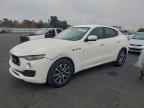 2019 MASERATI Levante