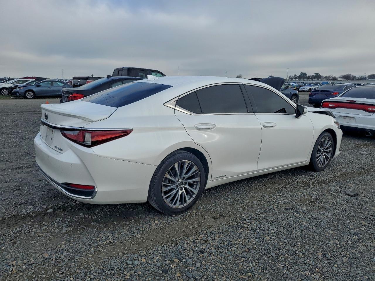 2019 LEXUS ES 300H