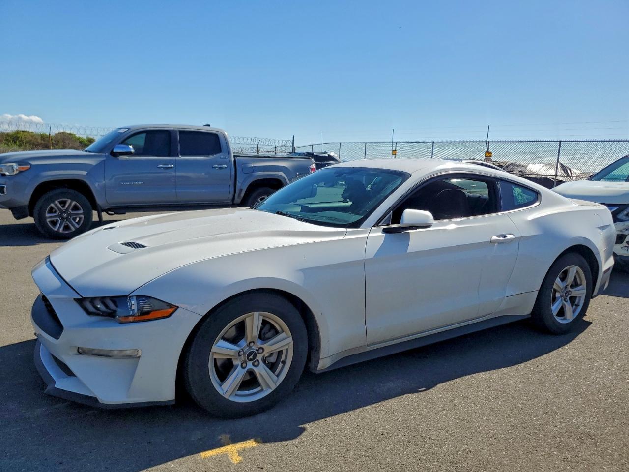 2019 FORD MUSTANG
