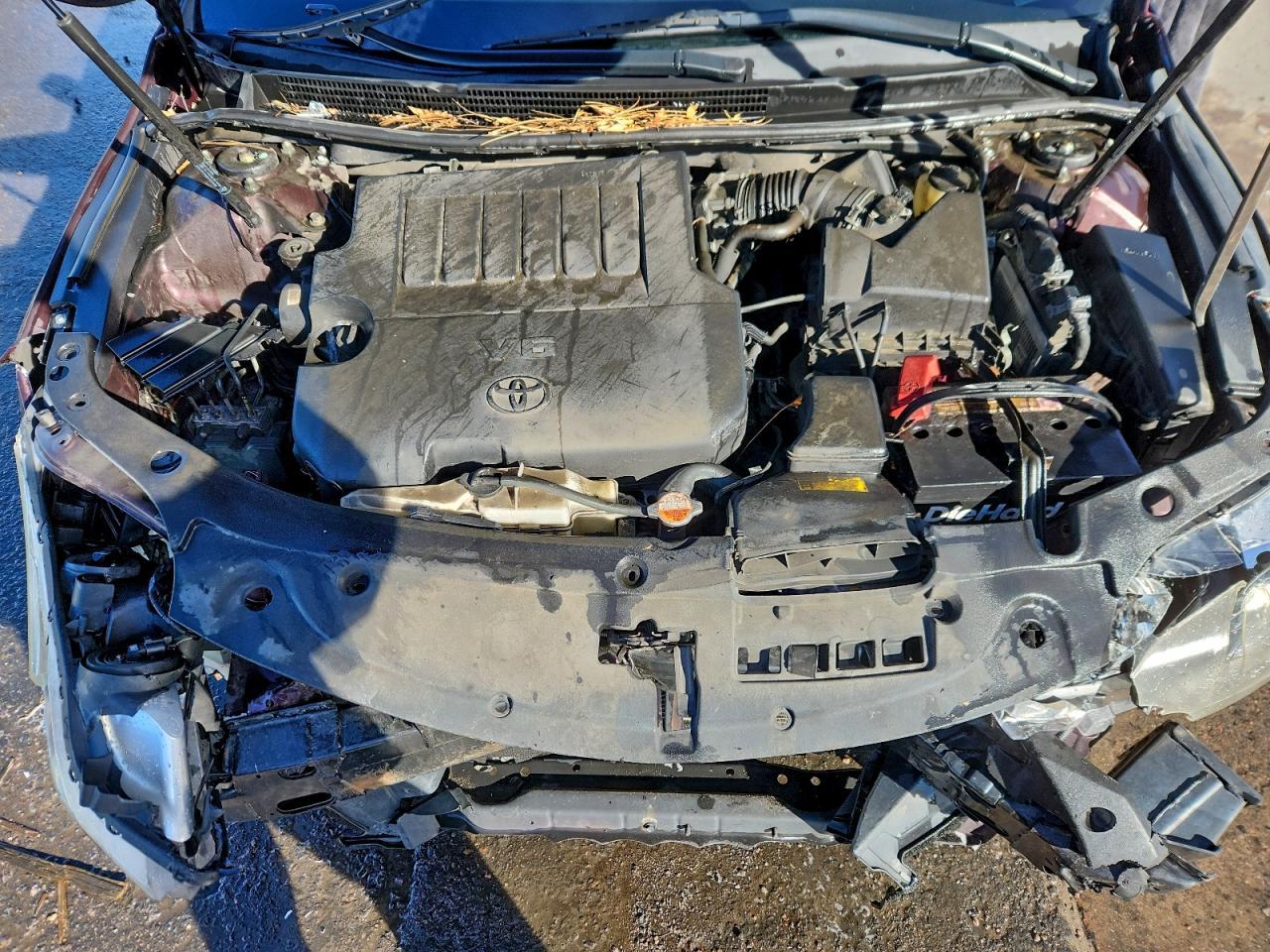 2016 TOYOTA Avalon