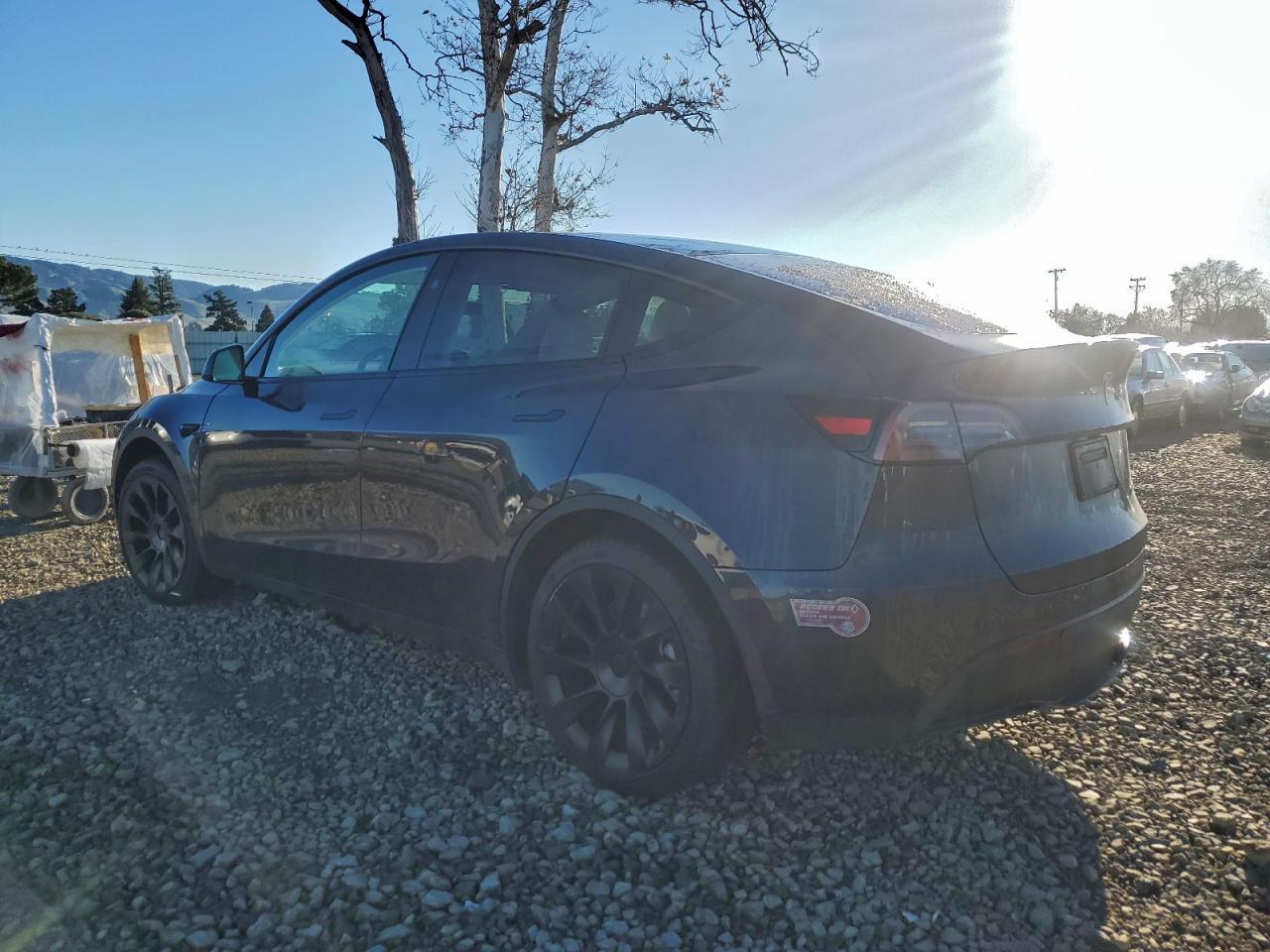 2024 TESLA MODEL Y